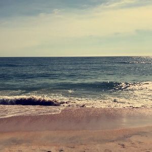 Meet your Posher, Dinae